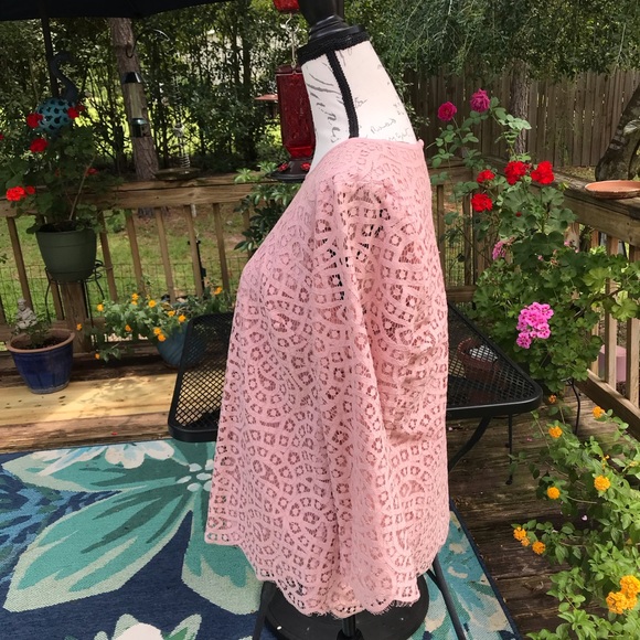 J. Crew Blush Pink Lace Cotton Blend Lined Three Quarter Sleeved Blouse Size 14 - Picture 6 of 10